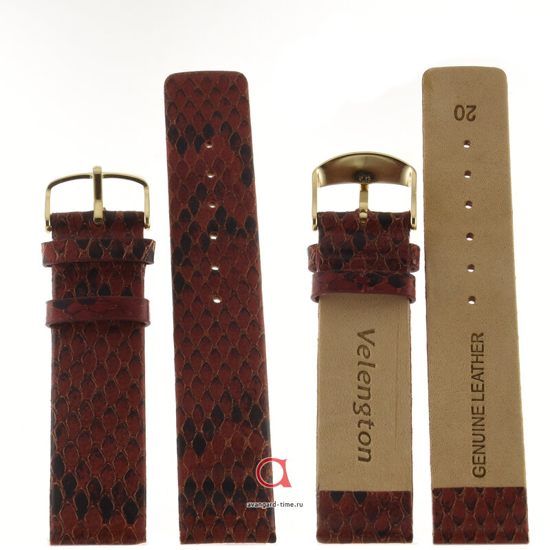 ������� Velengton 20 ����-��� ���� � ��� ���� V20114 ������ �����
