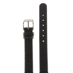 Velengton 12 ��� ���� ��12033