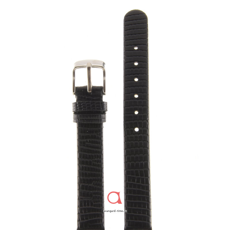 ������� Velengton 12 ��� ���� ��12033 ������ �����