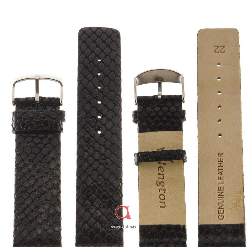 ������� Velengton 22 �����-��� ���� ��� ���� V22031 ������ �����