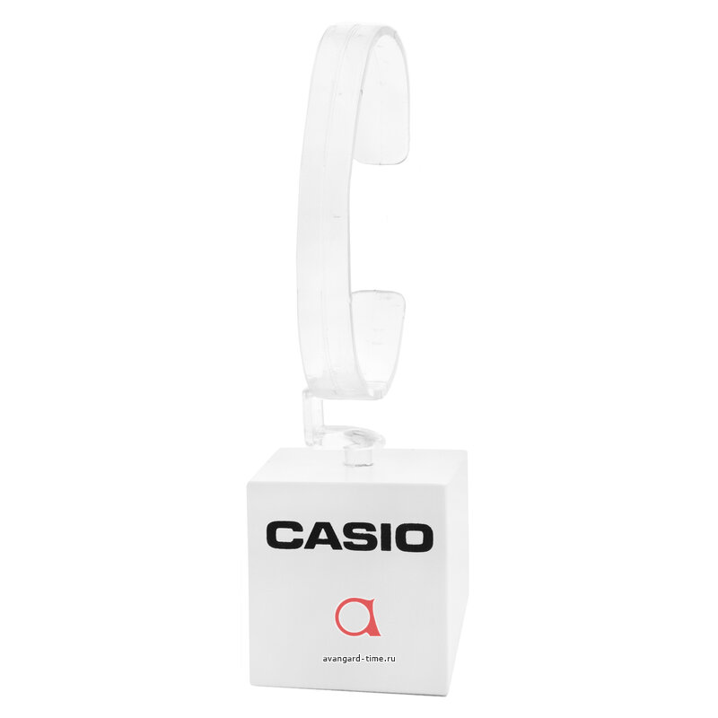     Casio large  