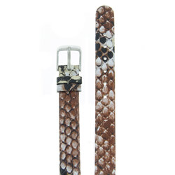 Velengton 12 ���-���-1