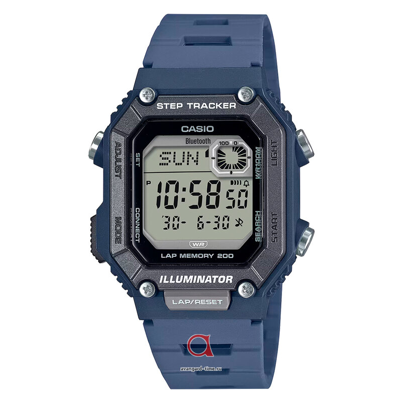 �������� ���� WS-B1000-2A ������ �����