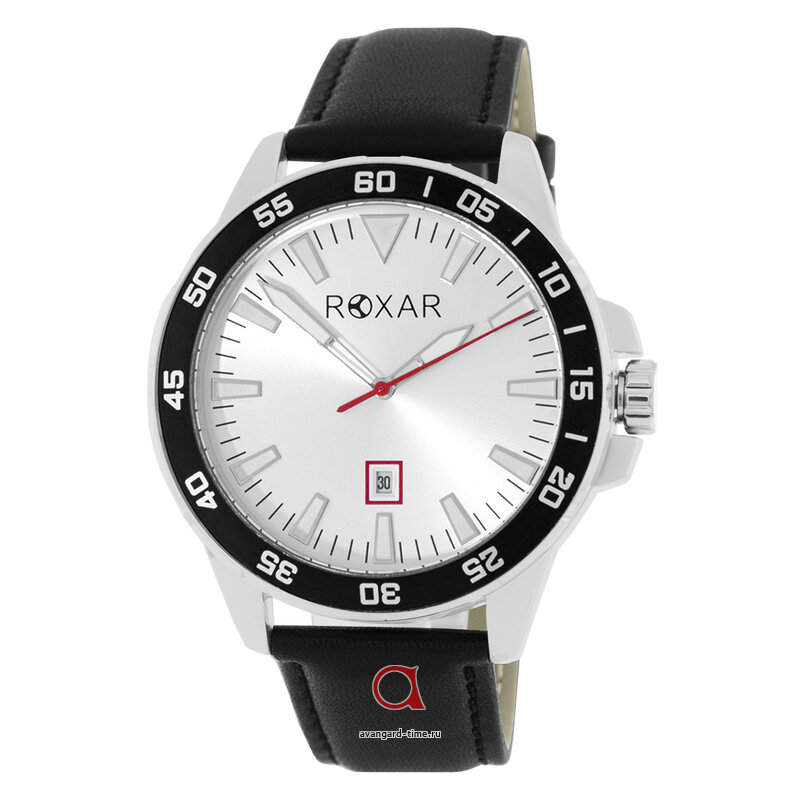 �������� ���� ROXAR GS020SBSB-R ������ �����