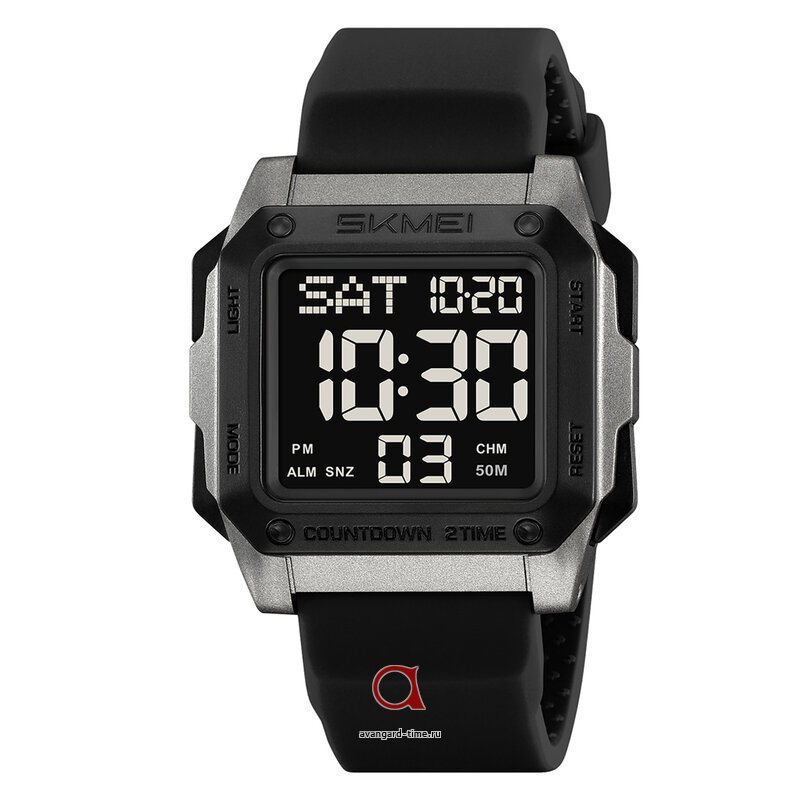 �������� ���� Skmei 2454TN titanium ������ �����