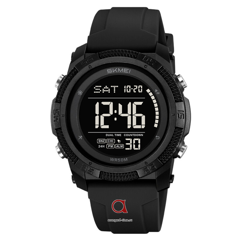 �������� ���� Skmei 2449BKBK black-black ������ �����