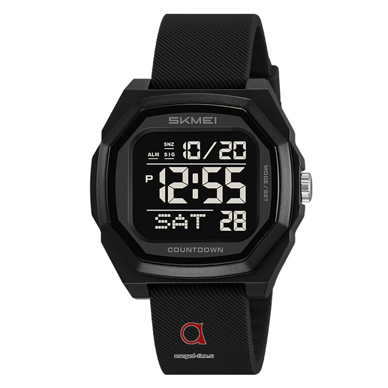 �������� ���� Skmei 2495PBK black-silica gel ������ �����