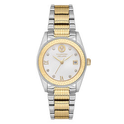 Valentino Orlandi 4.10008-3