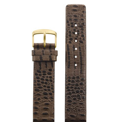 Velengton 20  .     V-20061