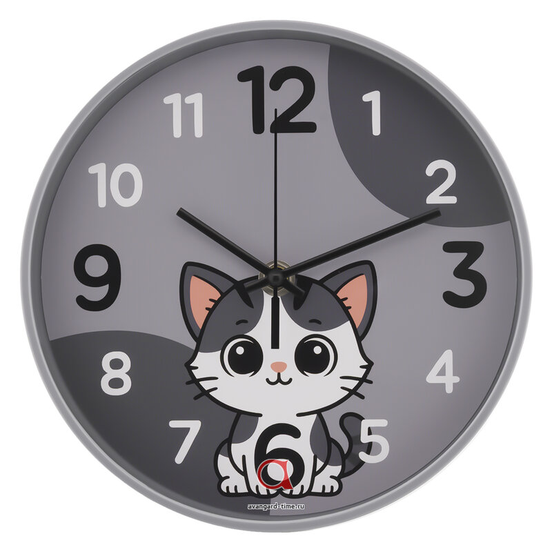 ��������� ���� ����� 2019-009 ������ �����