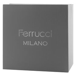 ��������� ��� ����� FERRUCCI
