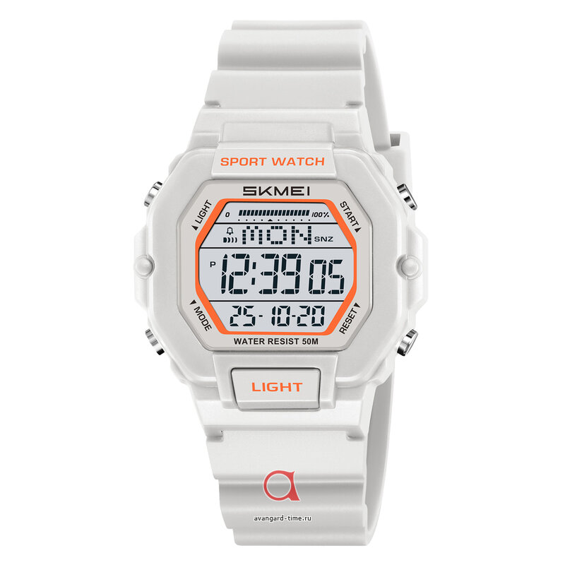 �������� ���� Skmei 2573GY grey ������ �����