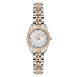 JG.POLO CLUB 1125 S04649M.5 5.800