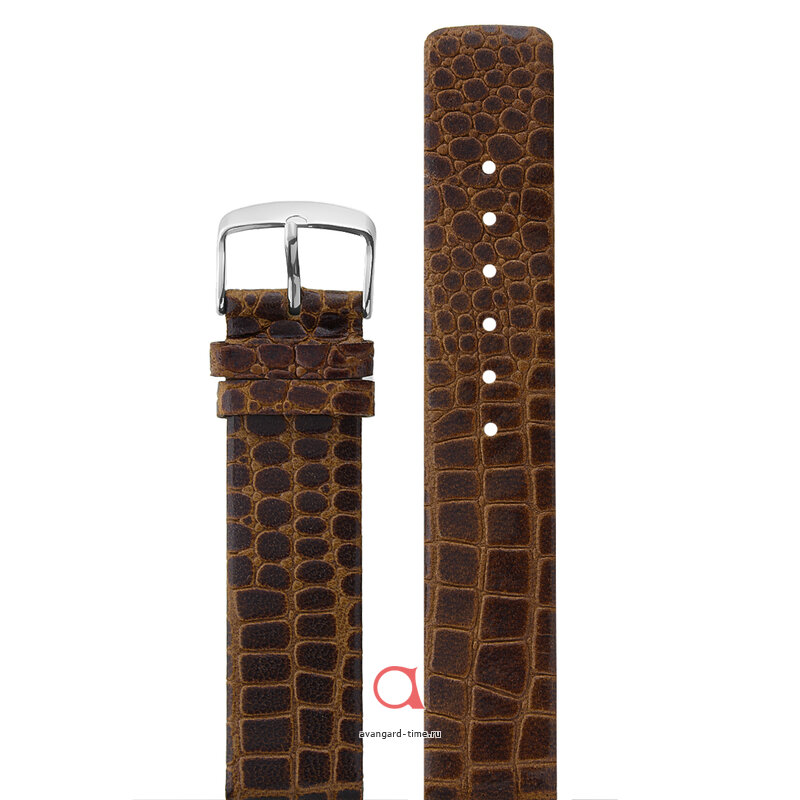 ������� Velengton 20 ������ ���� V-20065 ������ �����