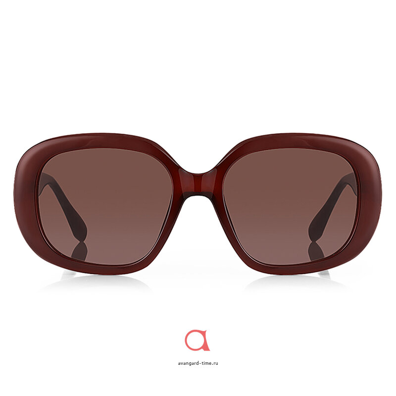 �������������� ���� Daniel Klein DANIEL KLEIN DKS.1.4358-2 ������ �����