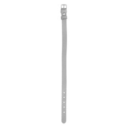 ����� �251 ��� 10 �� ������ ������ ����