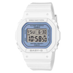BGD-565SC-2B