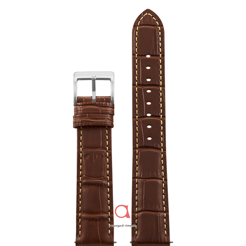 ������� Atlantis A14-20XL-P ������ �����