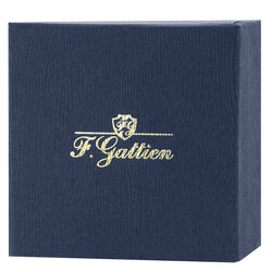 ��������� ��� ����� F.Gattien �����